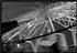 /fine art/urban details/01.jpg